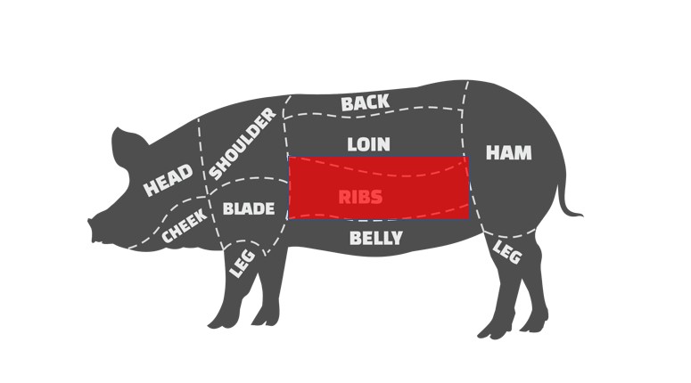 diagram showing st louis ribs on a pig